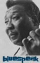 Muddy Waters